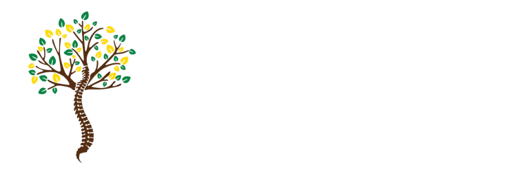 kinetech_colorno